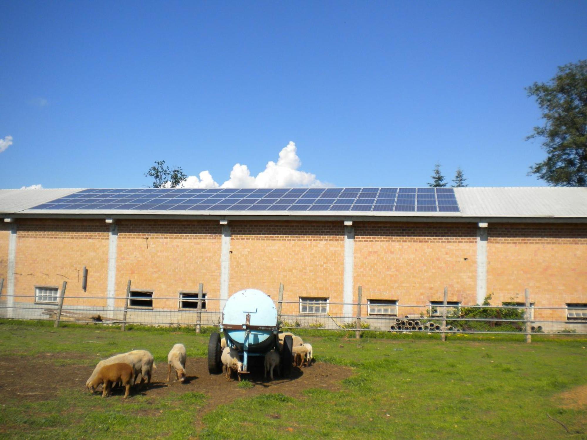Agriturismo La Dimora Del Contadino Mondovì Dış mekan fotoğraf